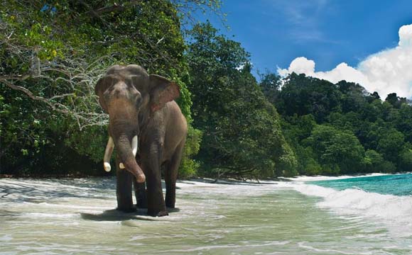 Andaman