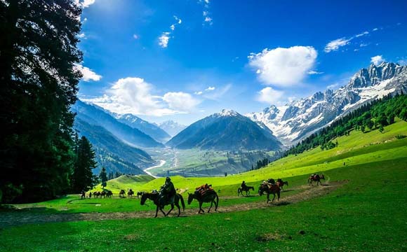 jammu kashmir