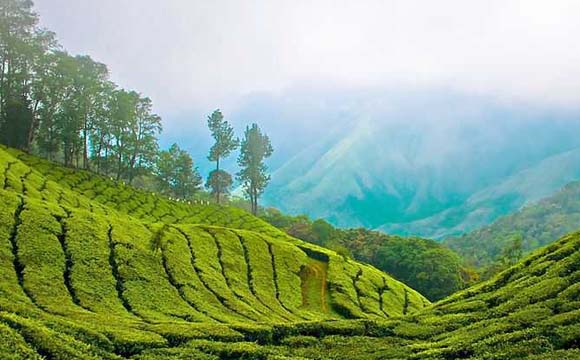 kerala