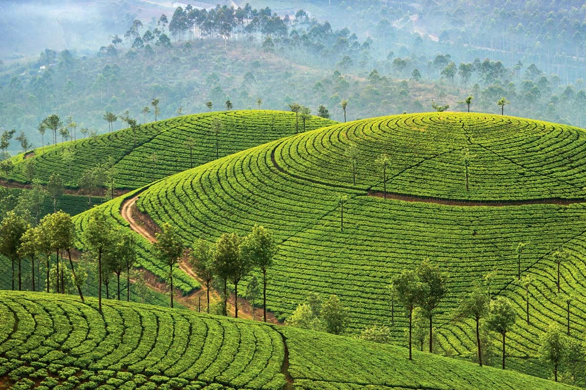 Kerala-banner-1