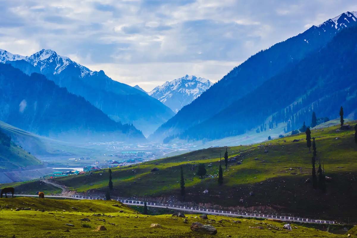 kashmir-banner-3