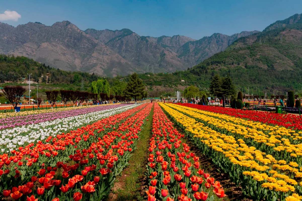 kashmir-banner-5